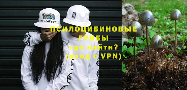 спиды Коряжма