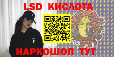 спиды Кингисепп