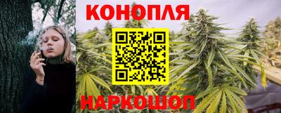 прущие крисы Кимры