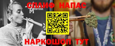 спиды Кингисепп