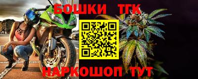 спиды Кингисепп