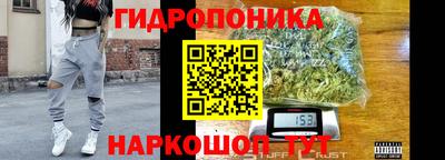 прущие крисы Кимры