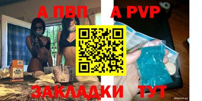 спиды Кингисепп